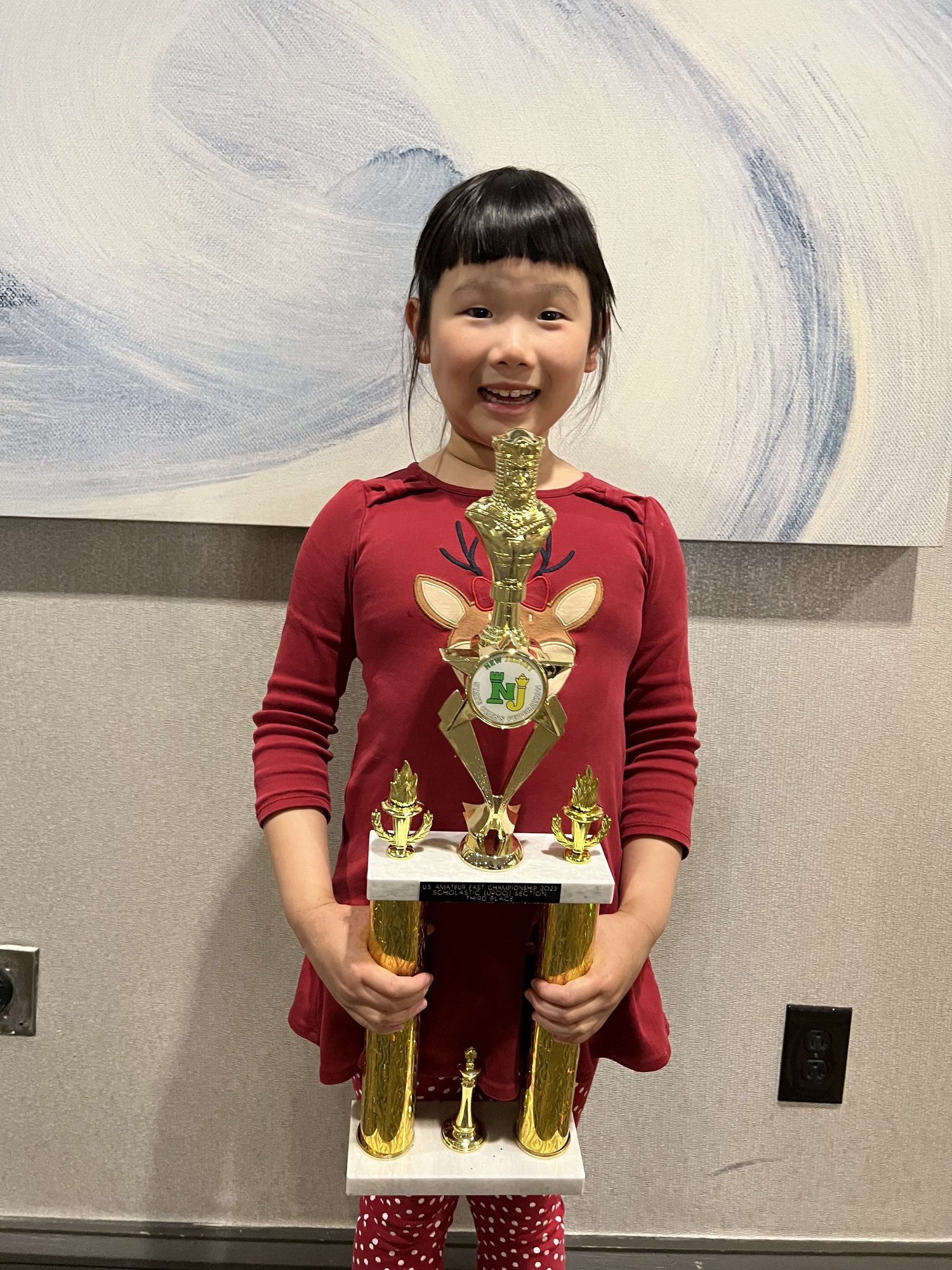 Recent Student Success at Chess In Millburn Academy