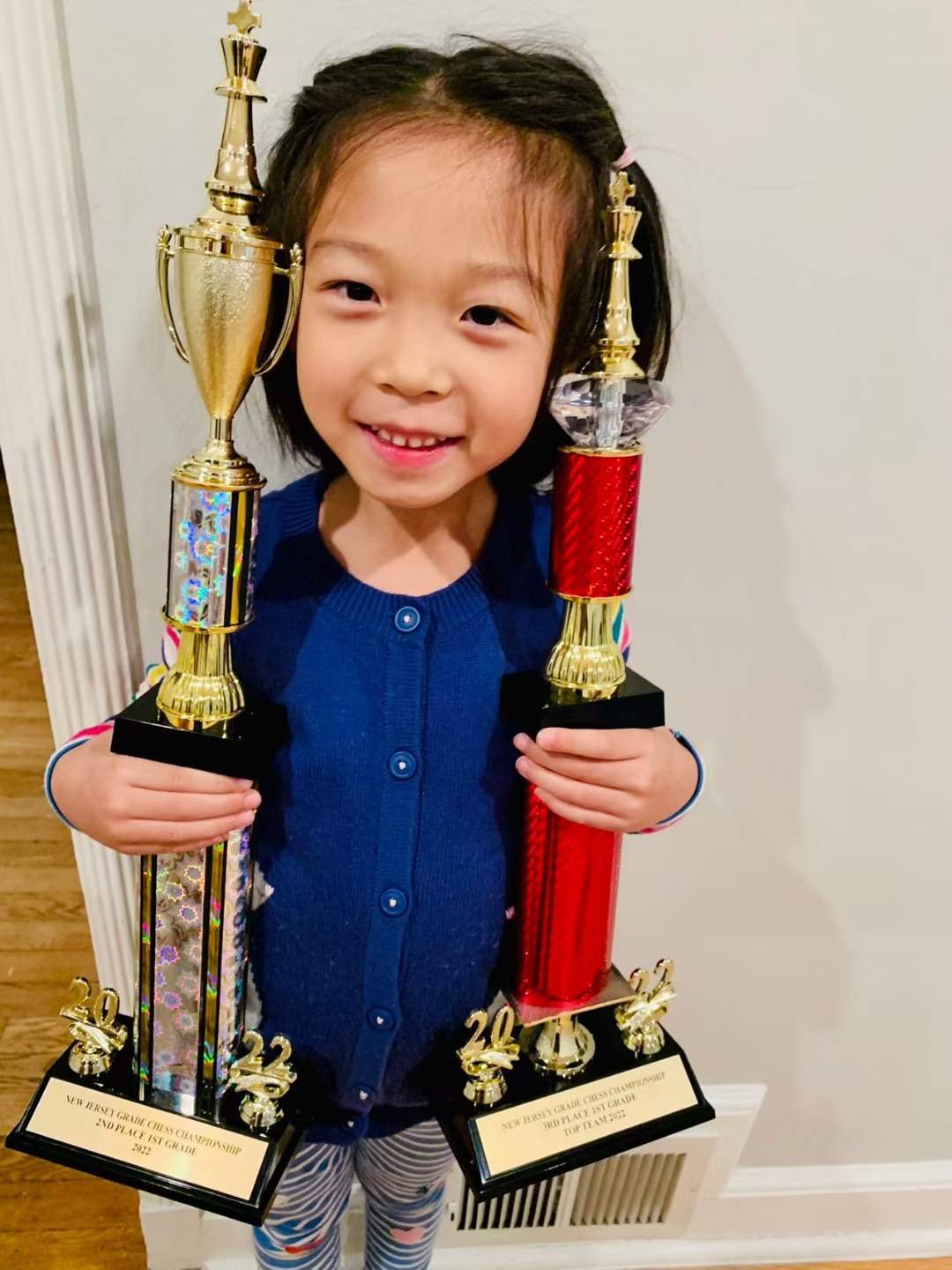 Recent Student Success at Chess In Millburn Academy